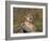 Cougar Growling-outdoorsman-Framed Photographic Print