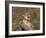 Cougar Growling-outdoorsman-Framed Photographic Print