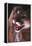Cougar Rubbing its Head-DLILLC-Framed Premier Image Canvas