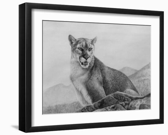 Cougar Study-Rusty Frentner-Framed Giclee Print