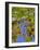 Cougar Winery Grapes II-Lee Peterson-Framed Photographic Print