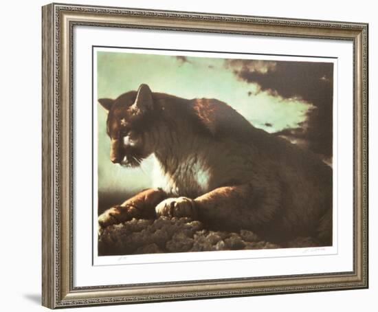 Cougar-Nancy Glazier-Framed Collectable Print