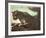 Cougar-Nancy Glazier-Framed Collectable Print