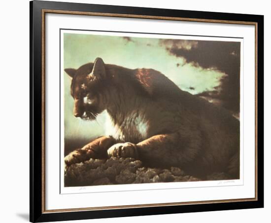 Cougar-Nancy Glazier-Framed Collectable Print