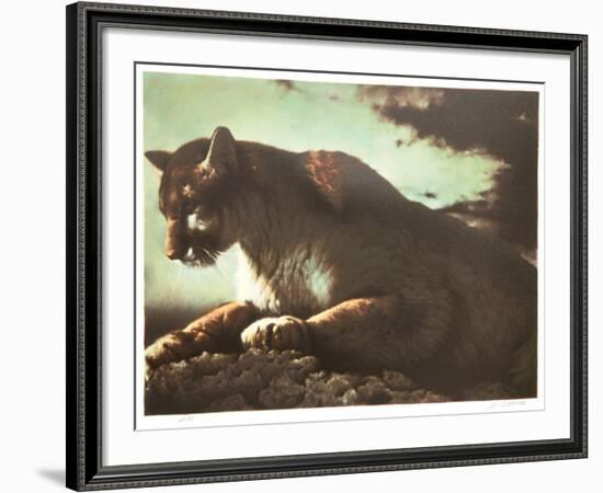 Cougar-Nancy Glazier-Framed Collectable Print