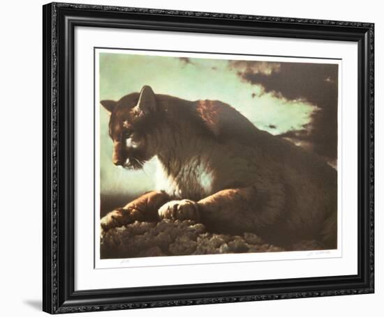 Cougar-Nancy Glazier-Framed Collectable Print