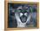 Cougar-Gordon Semmens-Framed Premier Image Canvas