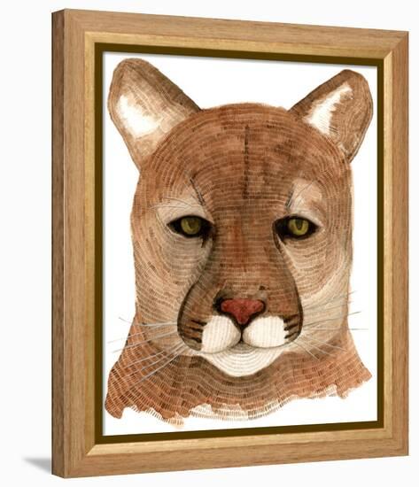 Cougar-Jeannine Saylor-Framed Stretched Canvas