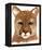 Cougar-Jeannine Saylor-Framed Stretched Canvas