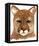 Cougar-Jeannine Saylor-Framed Stretched Canvas