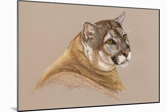 Cougar-Barbara Keith-Mounted Giclee Print