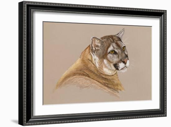 Cougar-Barbara Keith-Framed Giclee Print