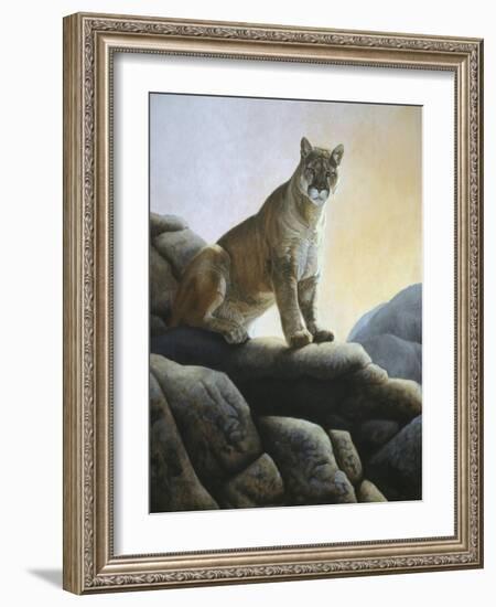 Cougar-Rusty Frentner-Framed Giclee Print