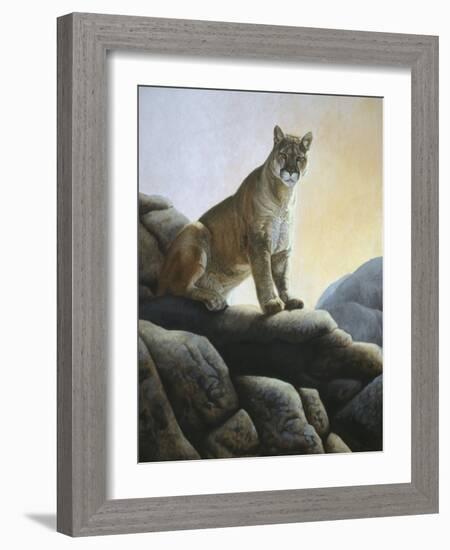 Cougar-Rusty Frentner-Framed Giclee Print