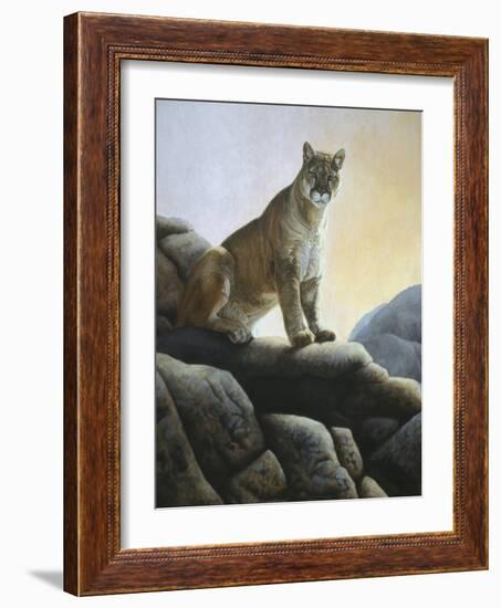 Cougar-Rusty Frentner-Framed Giclee Print