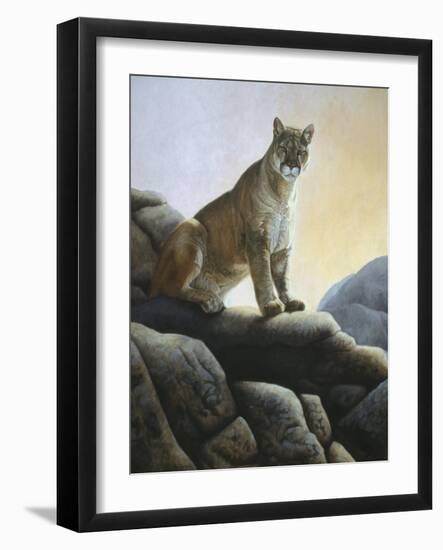 Cougar-Rusty Frentner-Framed Giclee Print