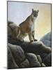 Cougar-Rusty Frentner-Mounted Giclee Print
