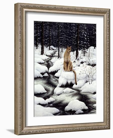 Cougar-Jeff Tift-Framed Giclee Print