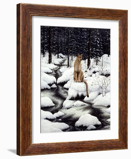 Cougar-Jeff Tift-Framed Giclee Print