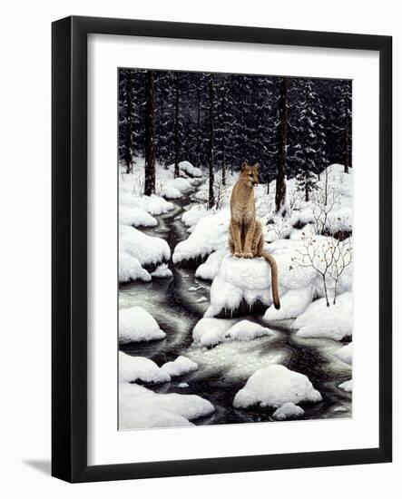 Cougar-Jeff Tift-Framed Giclee Print