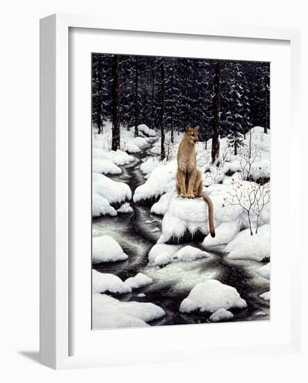 Cougar-Jeff Tift-Framed Giclee Print