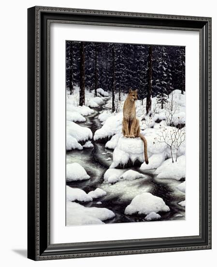 Cougar-Jeff Tift-Framed Giclee Print