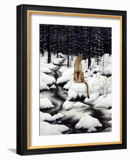 Cougar-Jeff Tift-Framed Giclee Print