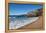 Coumeenoole Beach; Slea Head; Dingle Peninsula; County Kerry; Ireland-null-Framed Premier Image Canvas