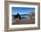 Coumeenoole Beach; Slea Head; Dingle Peninsula; County Kerry; Ireland-null-Framed Photographic Print