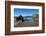 Coumeenoole Beach; Slea Head; Dingle Peninsula; County Kerry; Ireland-null-Framed Photographic Print