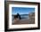 Coumeenoole Beach; Slea Head; Dingle Peninsula; County Kerry; Ireland-null-Framed Photographic Print