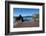 Coumeenoole Beach; Slea Head; Dingle Peninsula; County Kerry; Ireland-null-Framed Photographic Print