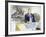 Count Cavour from 'Heart'-Edmondo De Amicis-Framed Giclee Print