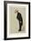 Count Shuvalov-Carlo Pellegrini-Framed Art Print