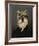 Count Tolstoi-Thierry Poncelet-Framed Premium Giclee Print