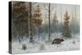 Stretched Canvas Print