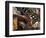 Counterbass with Trumpet Player, Part of Traditional Band Playing in a Cafe, Habana Vieja, Cuba-Eitan Simanor-Framed Photographic Print