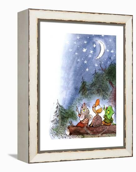 Counting the Stars - Turtle-Valeri Gorbachev-Framed Premier Image Canvas