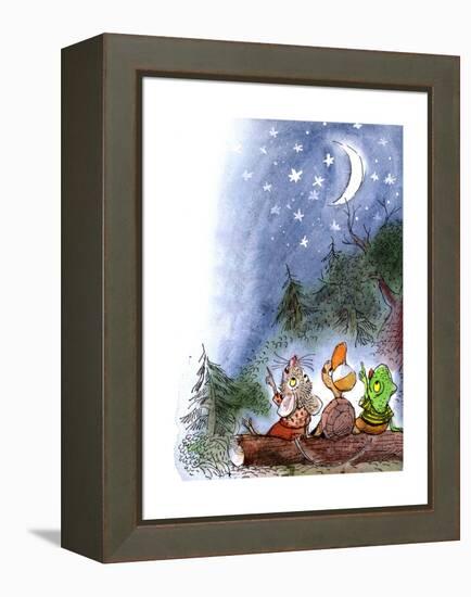 Counting the Stars - Turtle-Valeri Gorbachev-Framed Premier Image Canvas