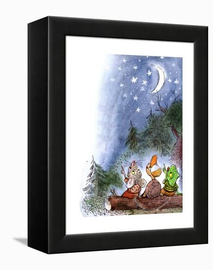 Counting the Stars - Turtle-Valeri Gorbachev-Framed Premier Image Canvas