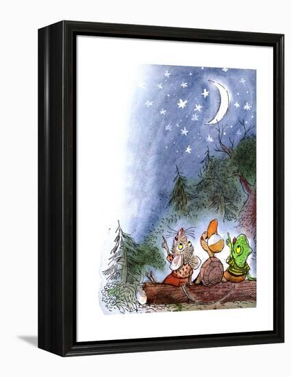 Counting the Stars - Turtle-Valeri Gorbachev-Framed Premier Image Canvas