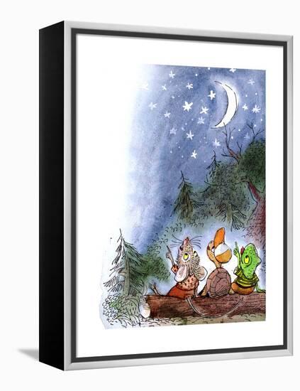 Counting the Stars - Turtle-Valeri Gorbachev-Framed Premier Image Canvas