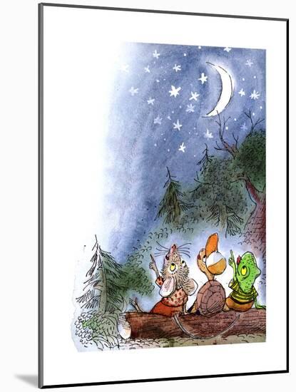 Counting the Stars - Turtle-Valeri Gorbachev-Mounted Giclee Print