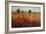 Country Amble Daze-Tim O'toole-Framed Giclee Print