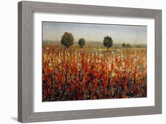 Country Amble Daze-Tim O'toole-Framed Giclee Print