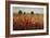 Country Amble Daze-Tim O'toole-Framed Giclee Print