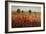 Country Amble Daze-Tim O'toole-Framed Giclee Print