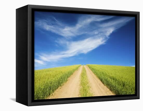 Country Back Road Through Spring Wheat Fields-Terry Eggers-Framed Premier Image Canvas