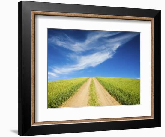 Country Back Road Through Spring Wheat Fields-Terry Eggers-Framed Photographic Print