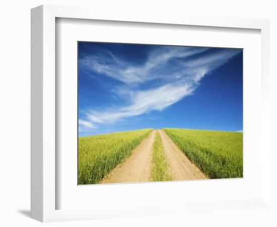 Country Back Road Through Spring Wheat Fields-Terry Eggers-Framed Photographic Print